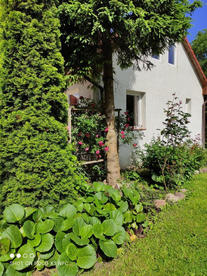 Chata Pod Roza Ledzin Exterior foto