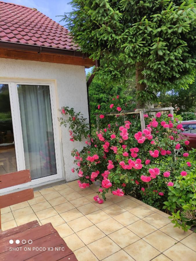 Chata Pod Roza Ledzin Exterior foto