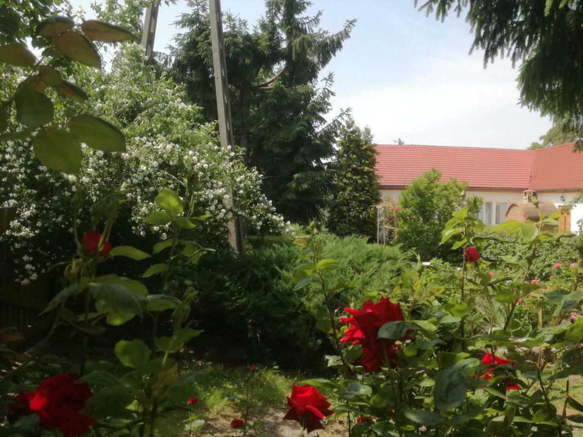 Chata Pod Roza Ledzin Exterior foto